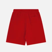 Aelfric Eden Graphic Eden Star Shorts